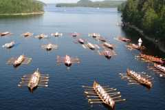 sulkavans